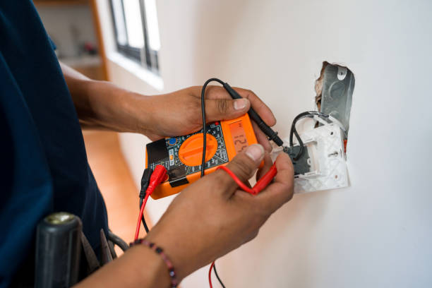 Best Electric Panel Repair  in Ninety Six, SC